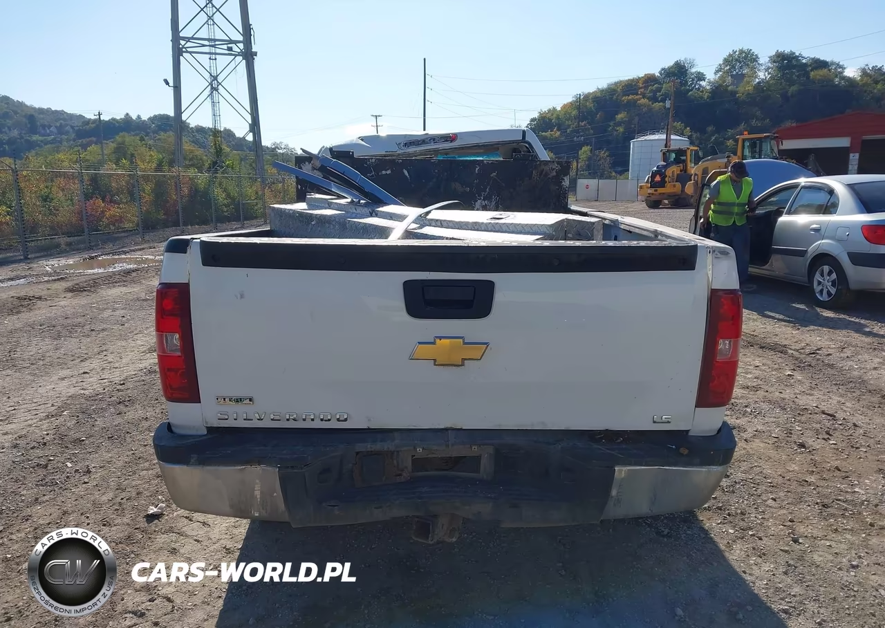 2010 Chevrolet Silverado 2500Hd Work Truck VIN:1GC3KVBG1AF141253 - 17