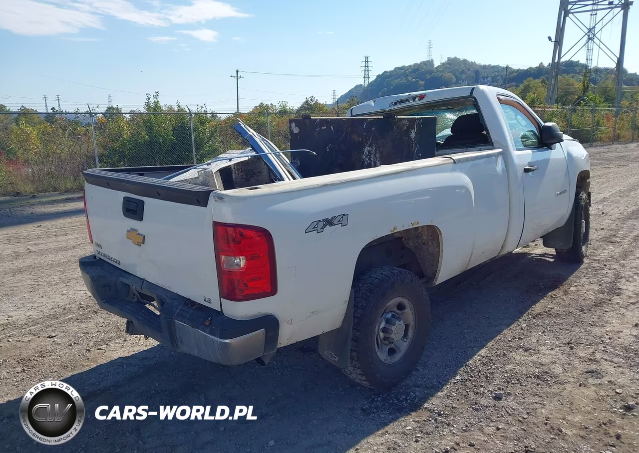 2010 Chevrolet Silverado 2500Hd Work Truck VIN:1GC3KVBG1AF141253 - 4
