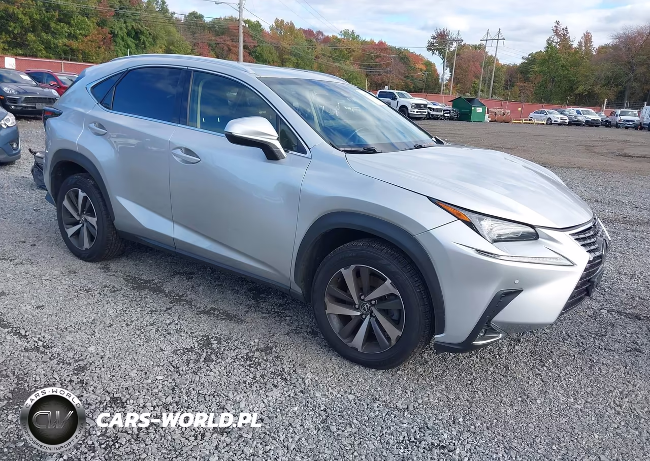2019 Lexus Nx 300