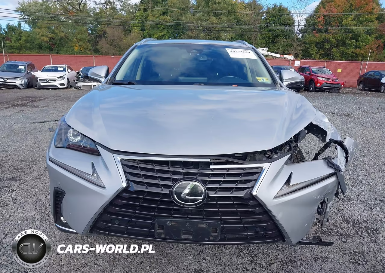 2019 Lexus Nx 300 VIN:JTJBARBZ9K2186910 - 12