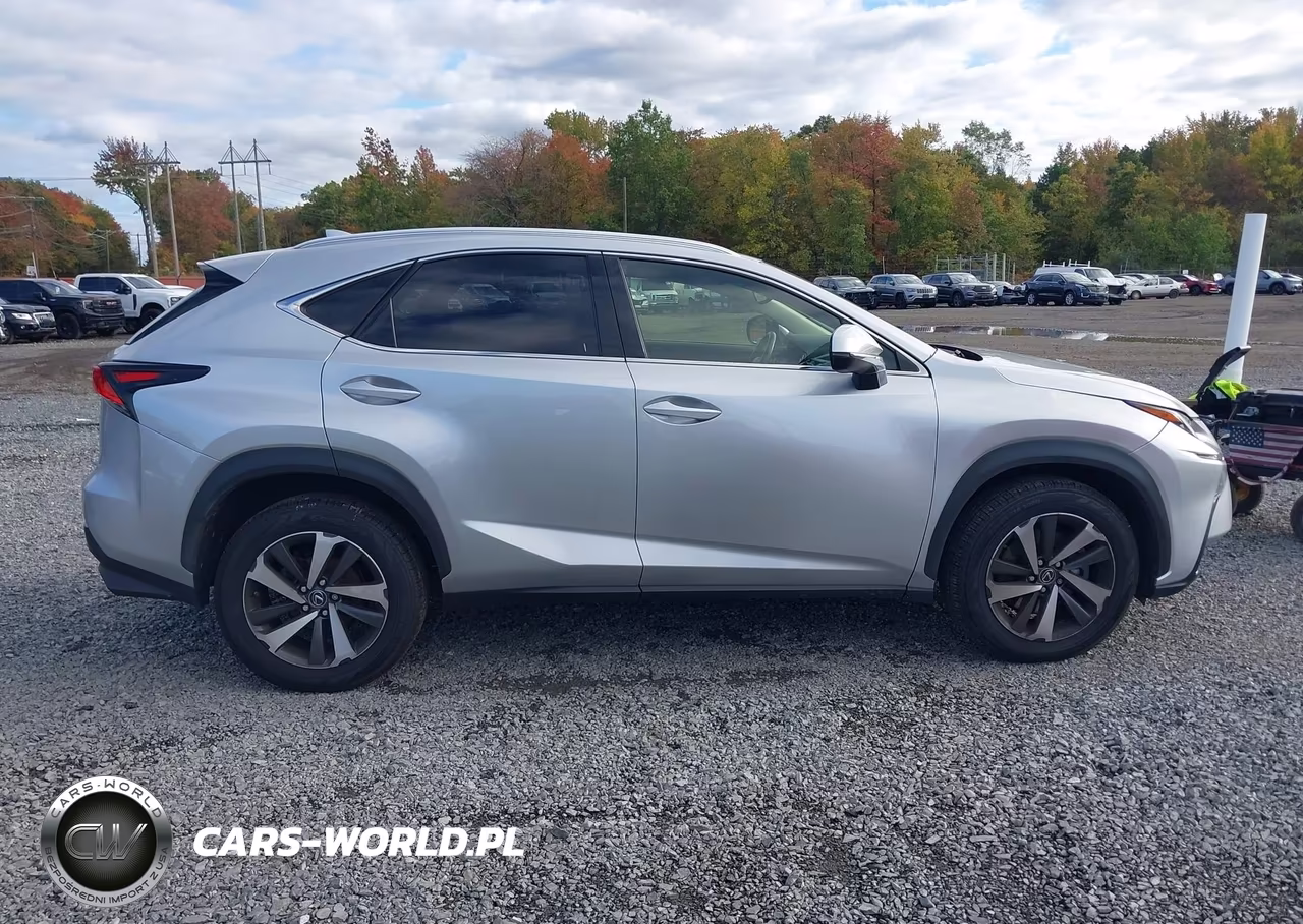 2019 Lexus Nx 300 VIN:JTJBARBZ9K2186910 - 13