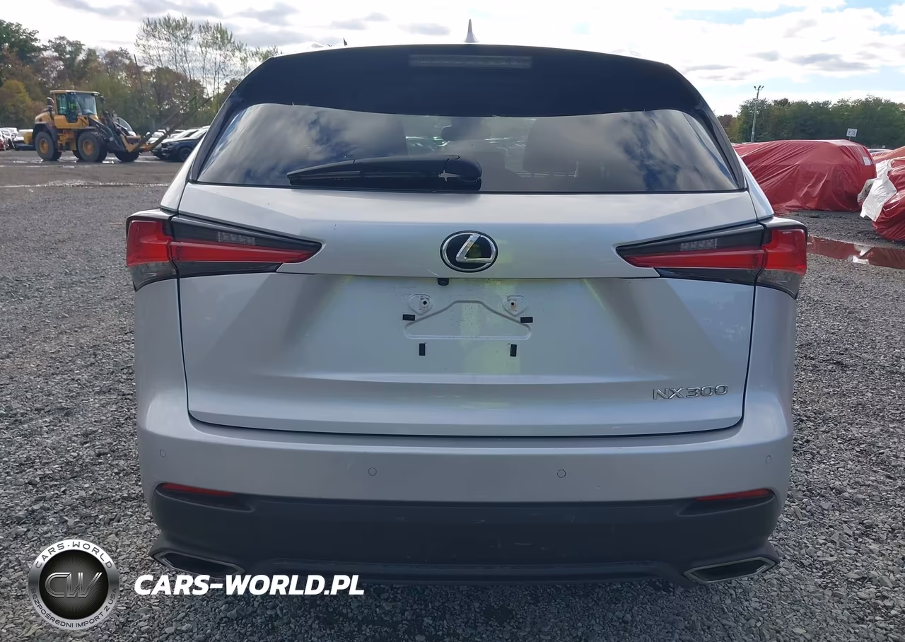 2019 Lexus Nx 300 VIN:JTJBARBZ9K2186910 - 16
