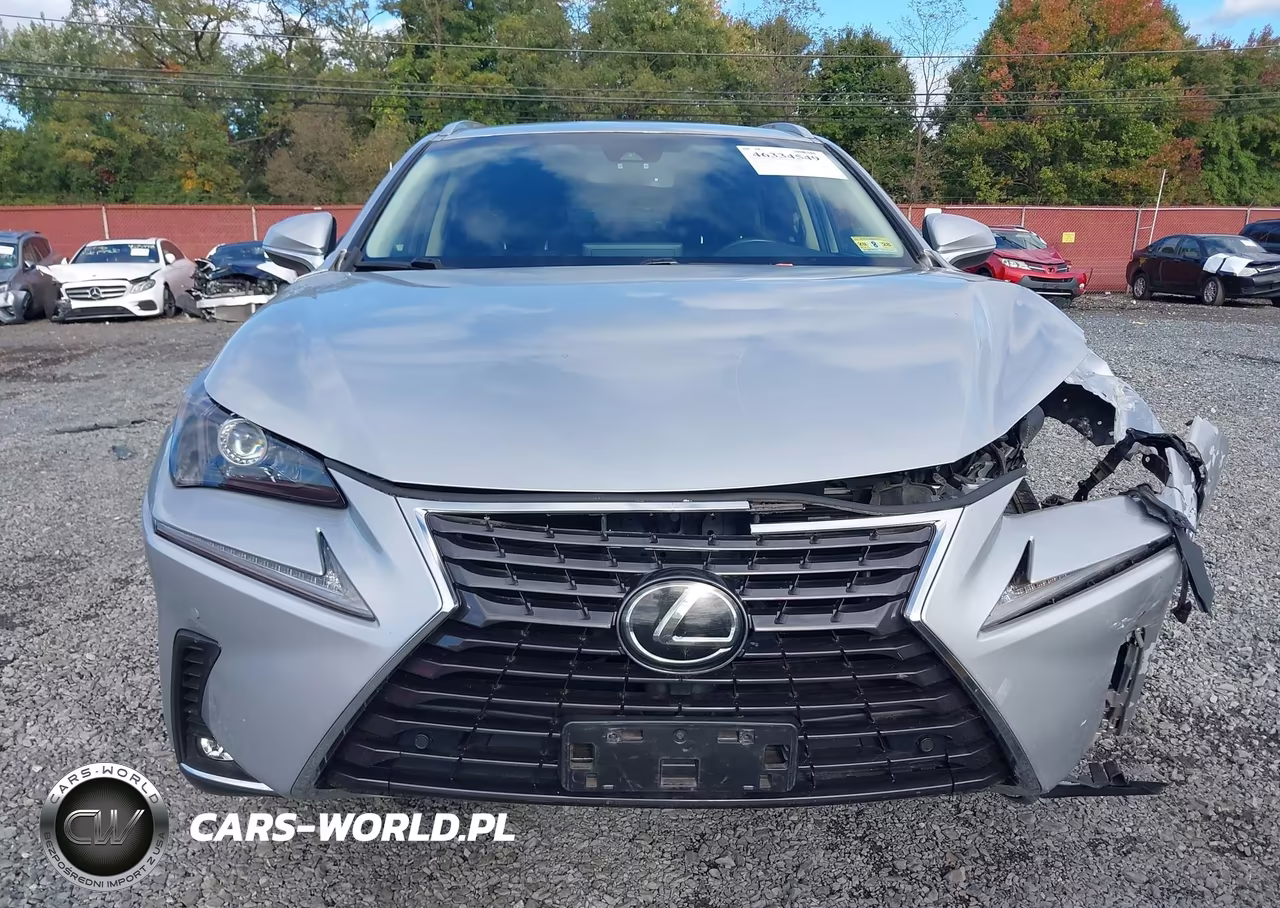 2019 Lexus Nx 300 VIN:JTJBARBZ9K2186910 - 17