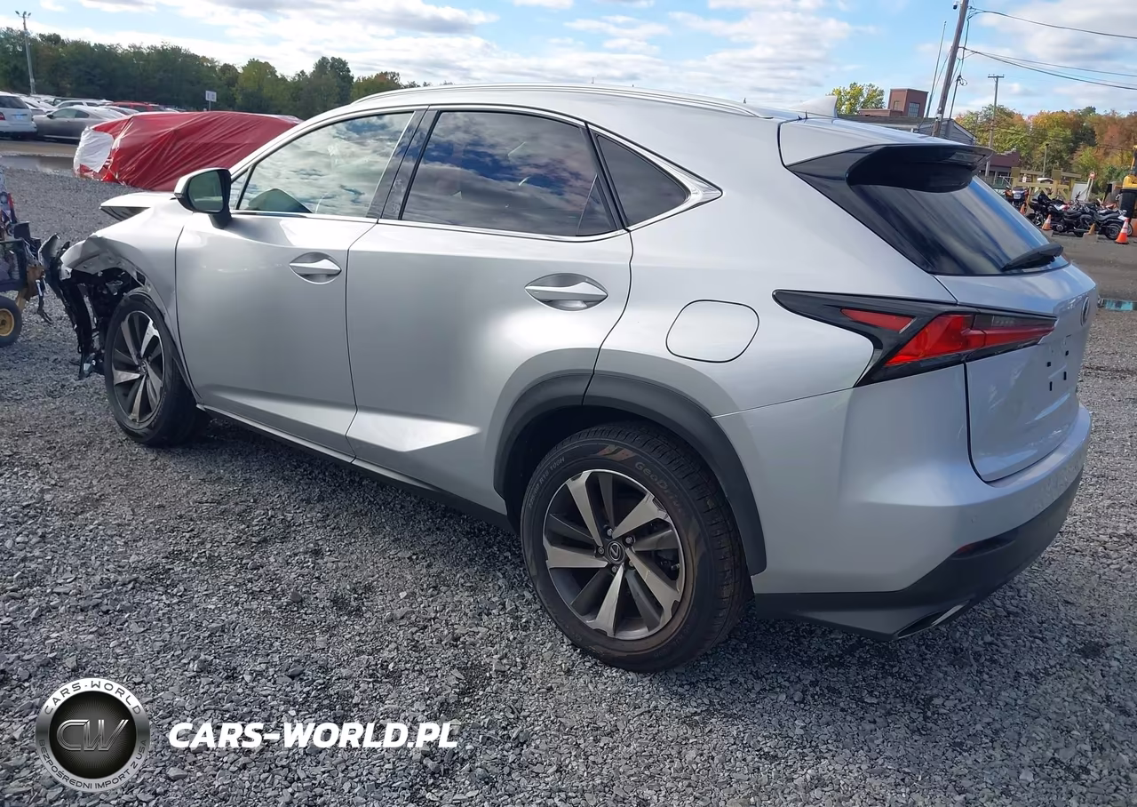 2019 Lexus Nx 300 VIN:JTJBARBZ9K2186910 - 3