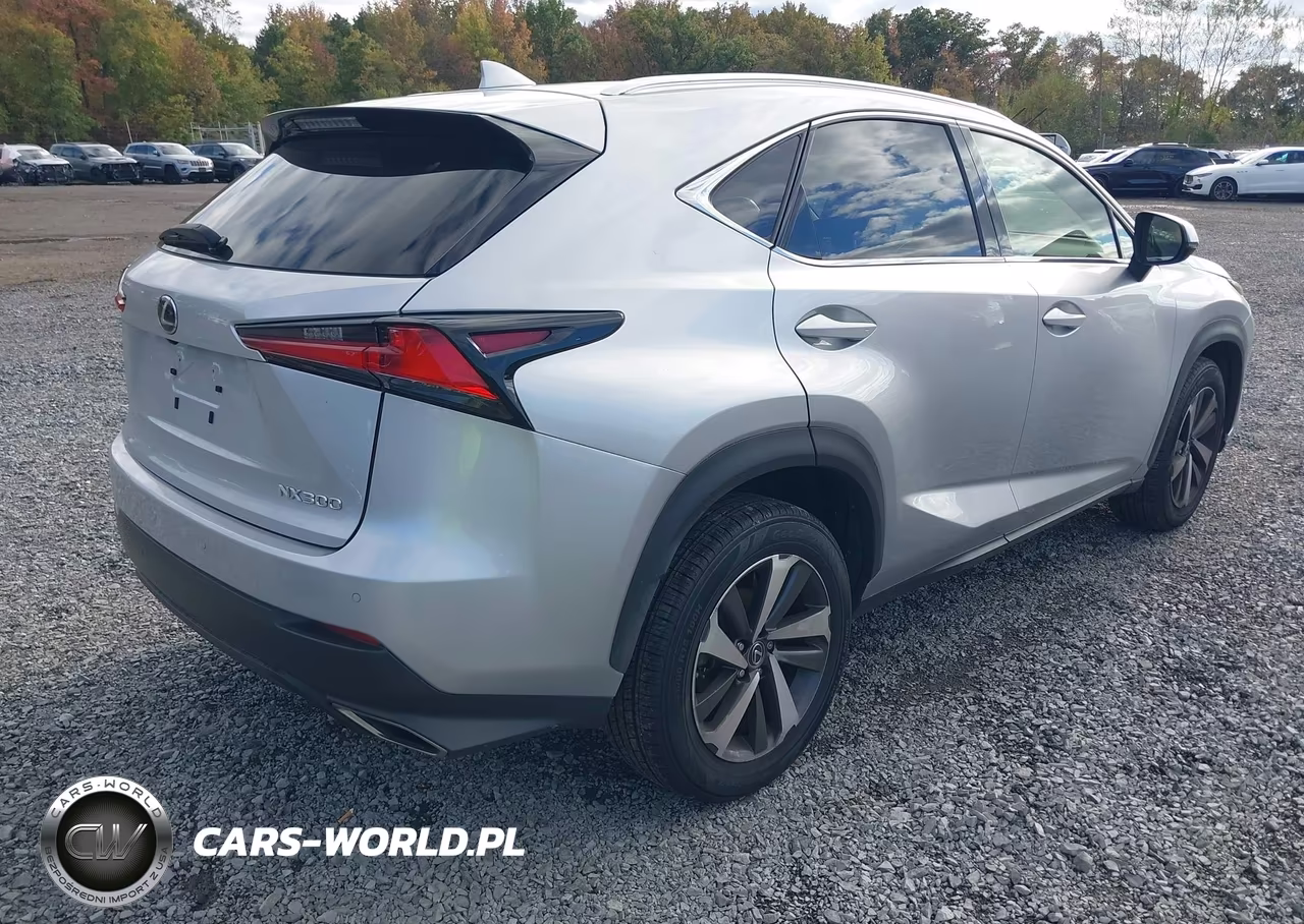 2019 Lexus Nx 300 VIN:JTJBARBZ9K2186910 - 4