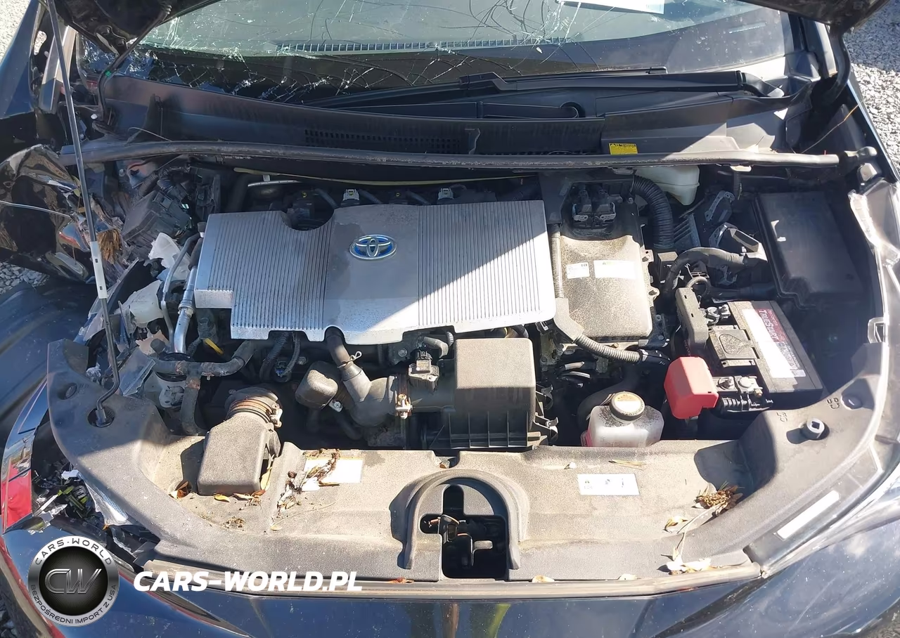 2016 Toyota Prius Three VIN:JTDKARFU4G3016215 - 10