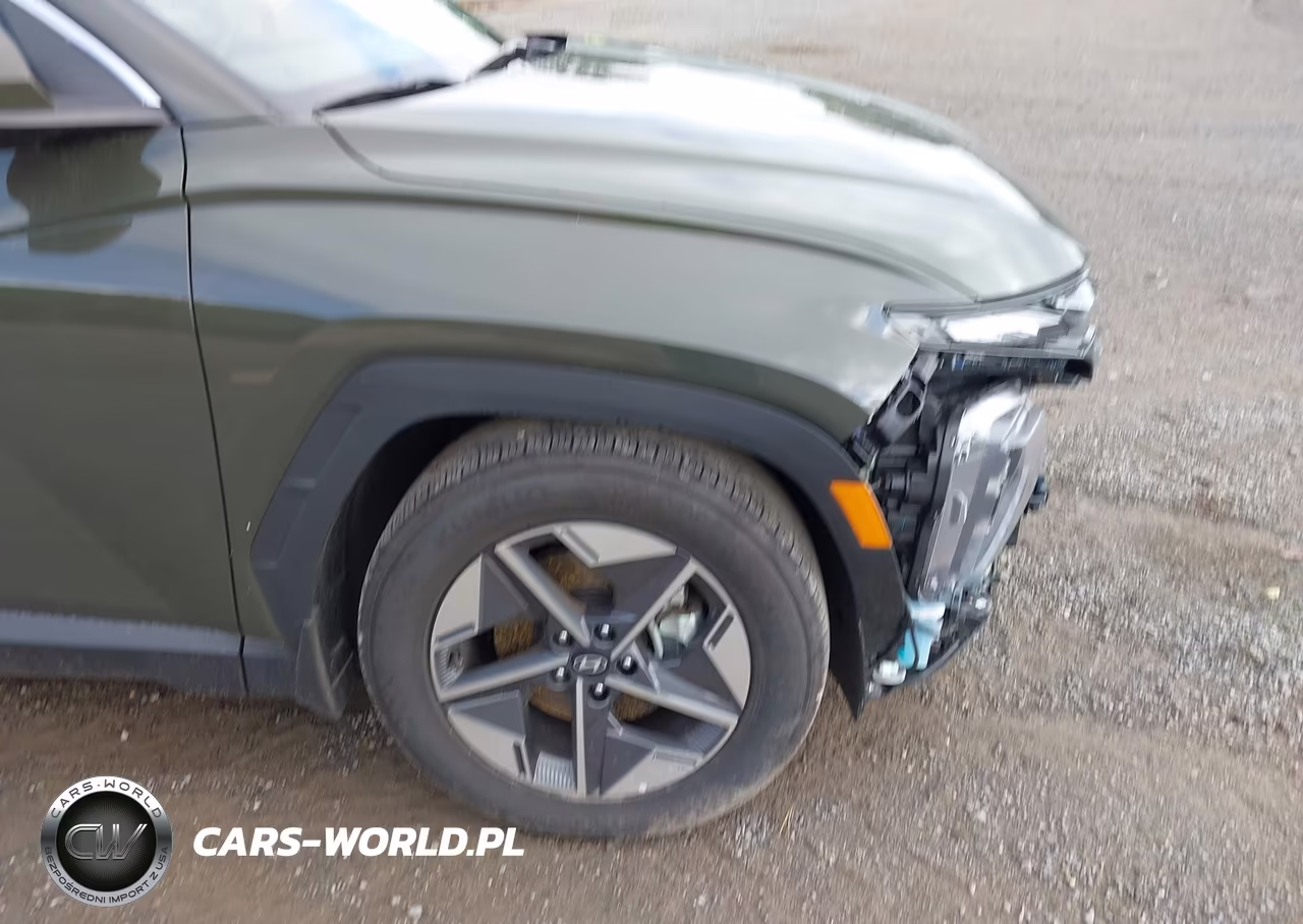 2025 Hyundai Tucson Sel VIN:5NMJBCDE1SH593585 - 19