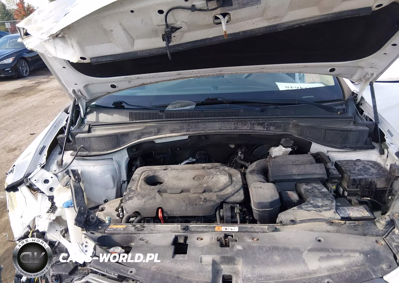 2017 Hyundai Santa Fe Sport 2.4L VIN:5NMZTDLB6HH022728 - 10