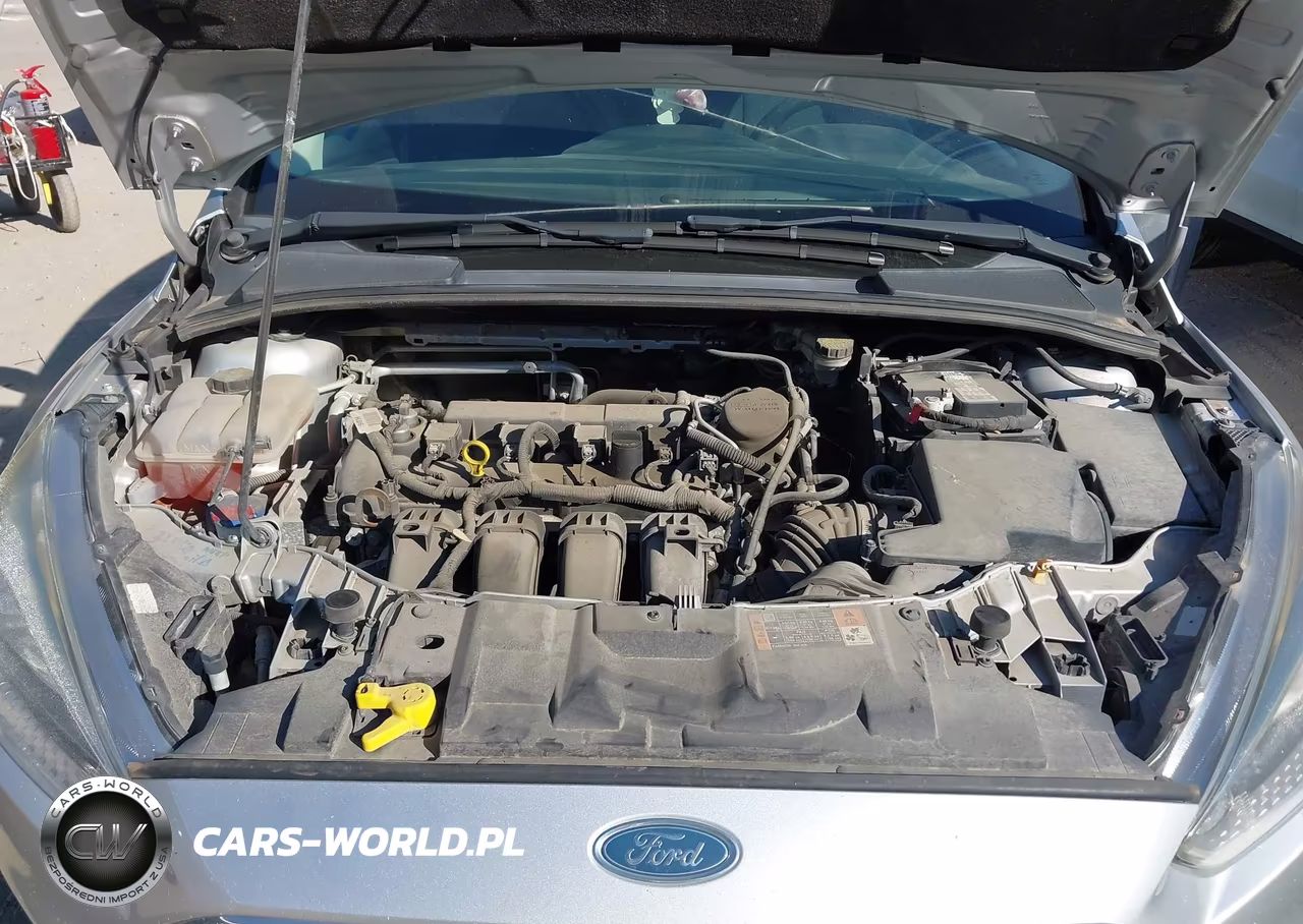 2016 Ford Focus S VIN:1FADP3E20GL230662 - 10
