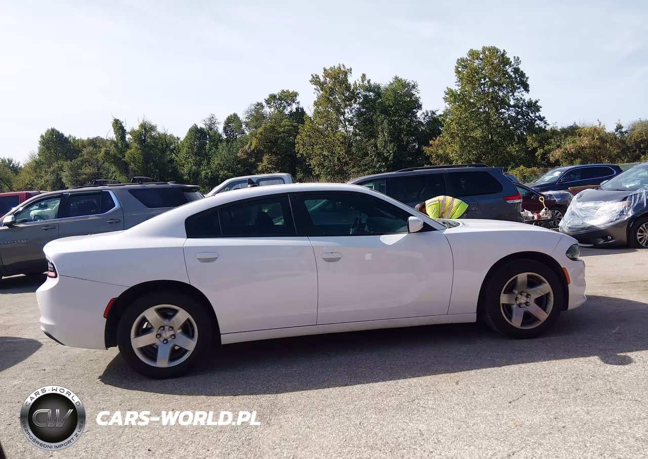 2019 Dodge Charger Police Rwd VIN:2C3CDXAG9KH510355 - 13