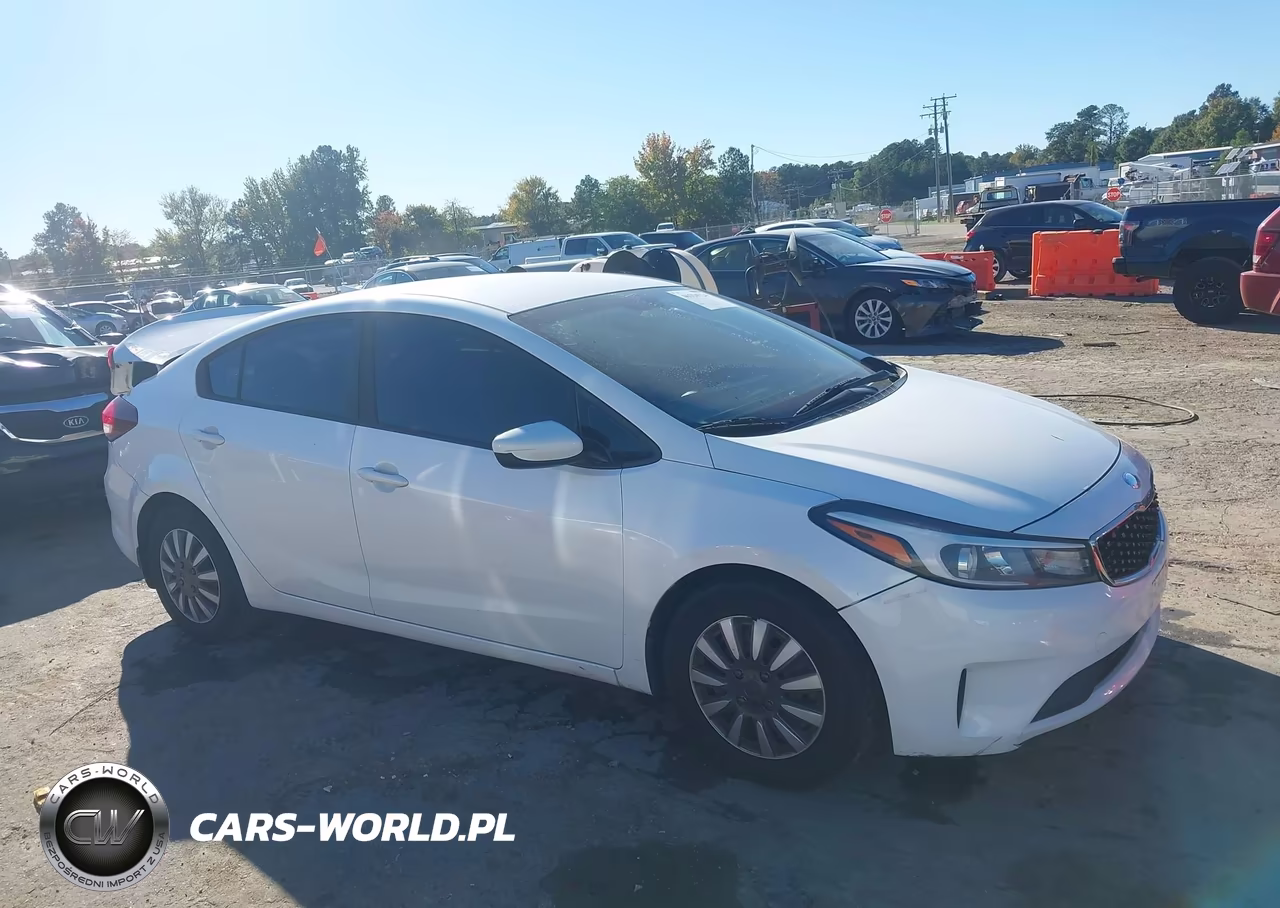 2018 Kia Forte Lx VIN:3KPFL4A79JE219486 - 13