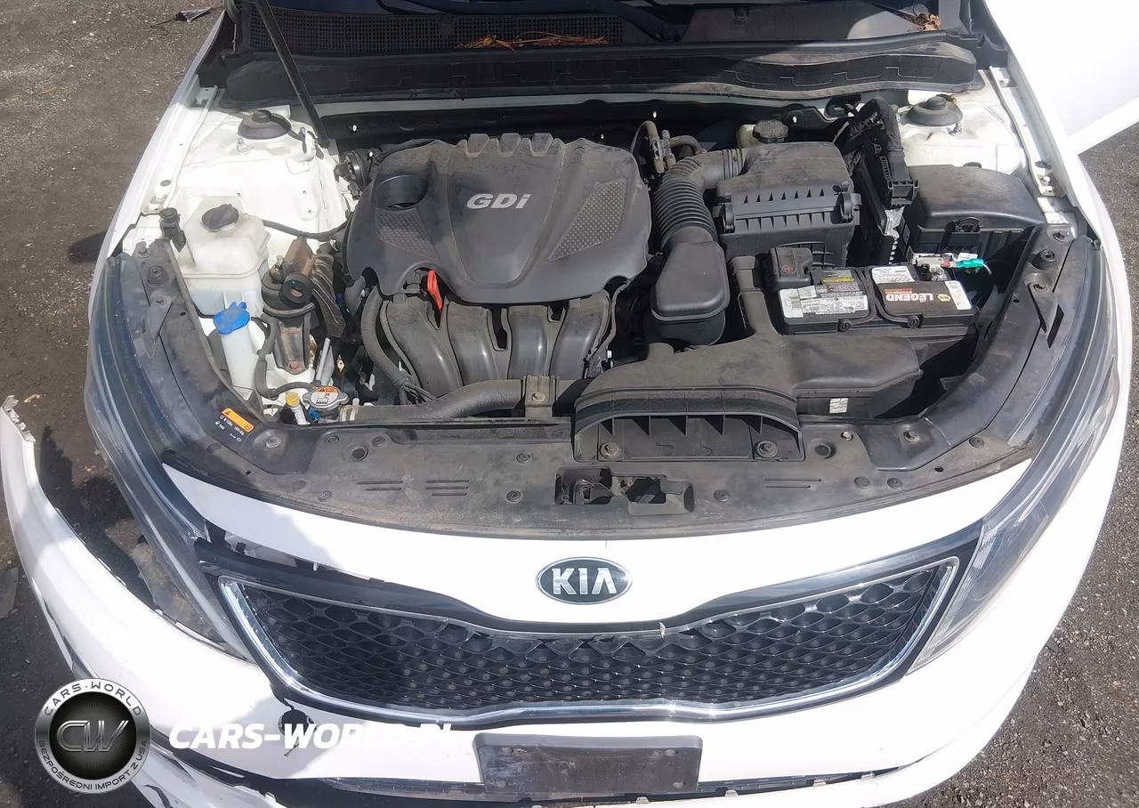 2015 Kia Optima Lx VIN:KNAGM4A77F5628734 - 10