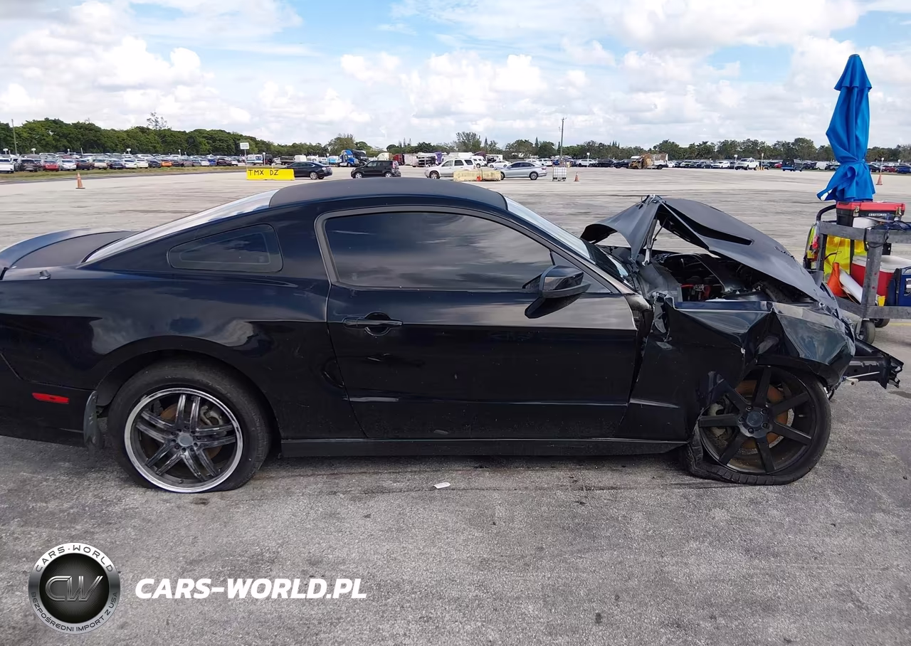2013 Ford Mustang Gt VIN:1ZVBP8CF7D5202181 - 14