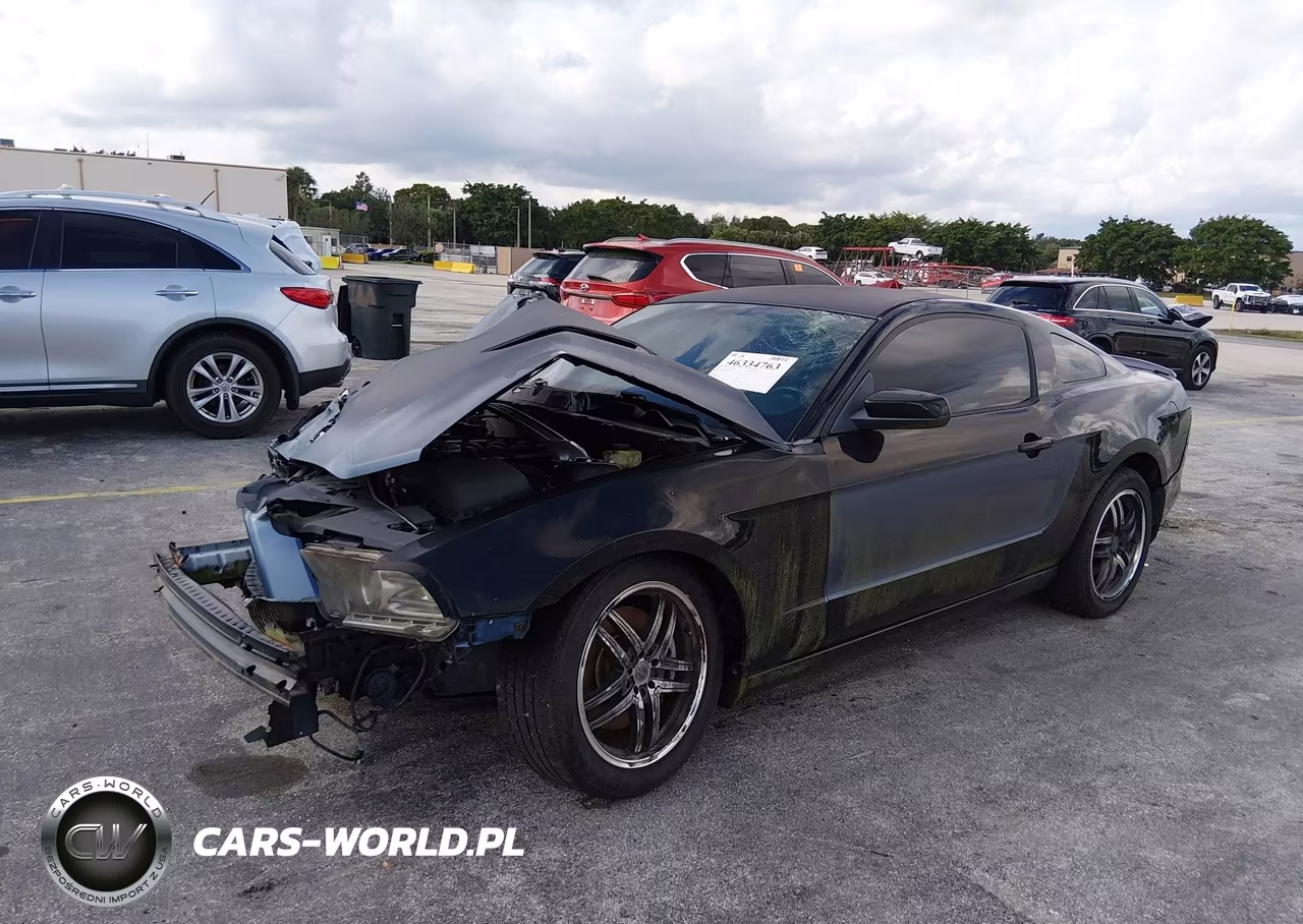 2013 Ford Mustang Gt VIN:1ZVBP8CF7D5202181 - 2