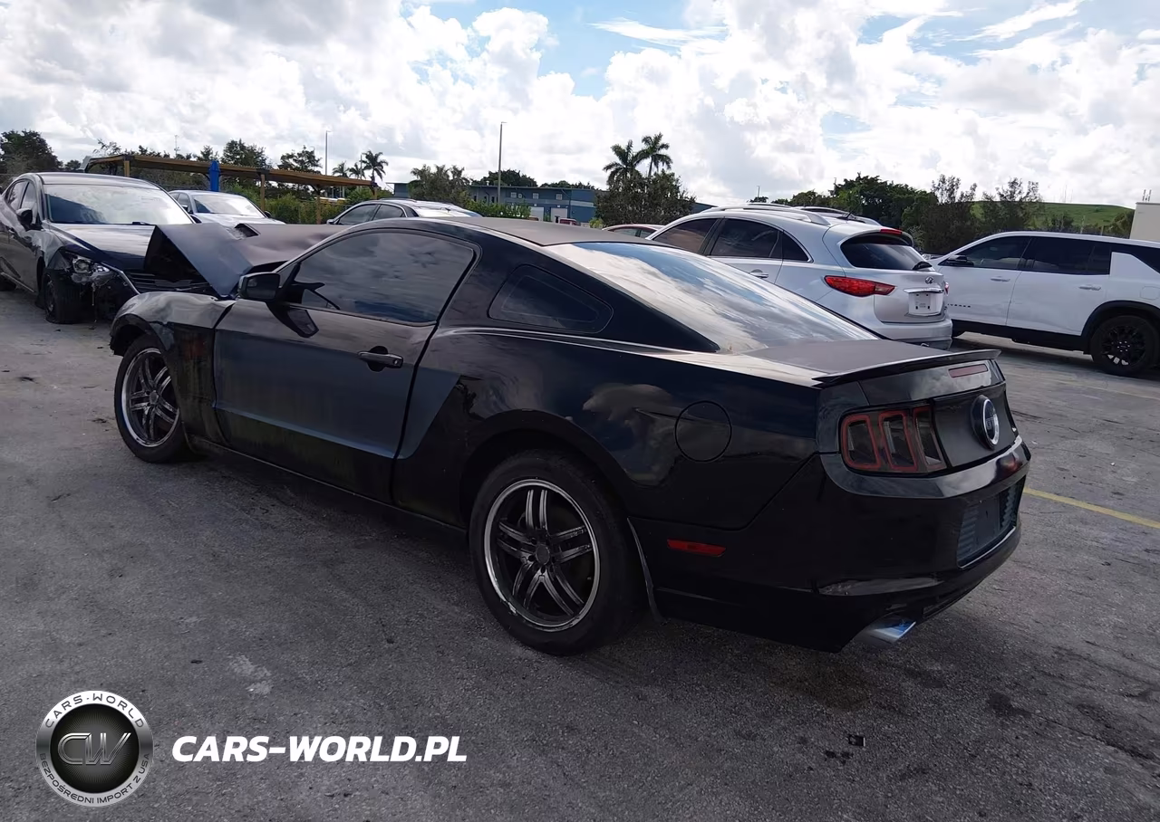 2013 Ford Mustang Gt VIN:1ZVBP8CF7D5202181 - 3