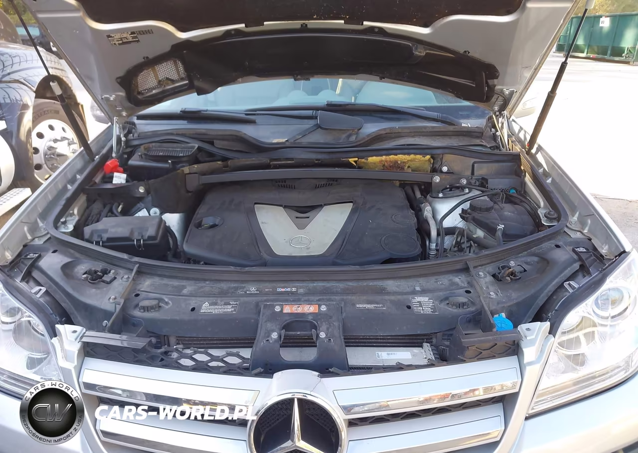 2008 Mercedes-Benz Gl 320 Cdi 4Matic VIN:4JGBF22E98A411250 - 10