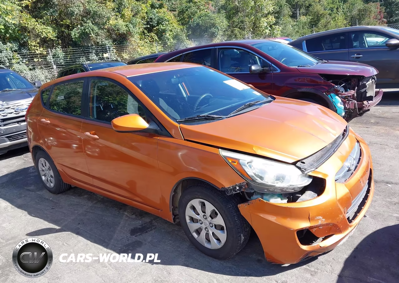 2015 Hyundai Accent Gs VIN:KMHCT5AE1FU215783 - 13