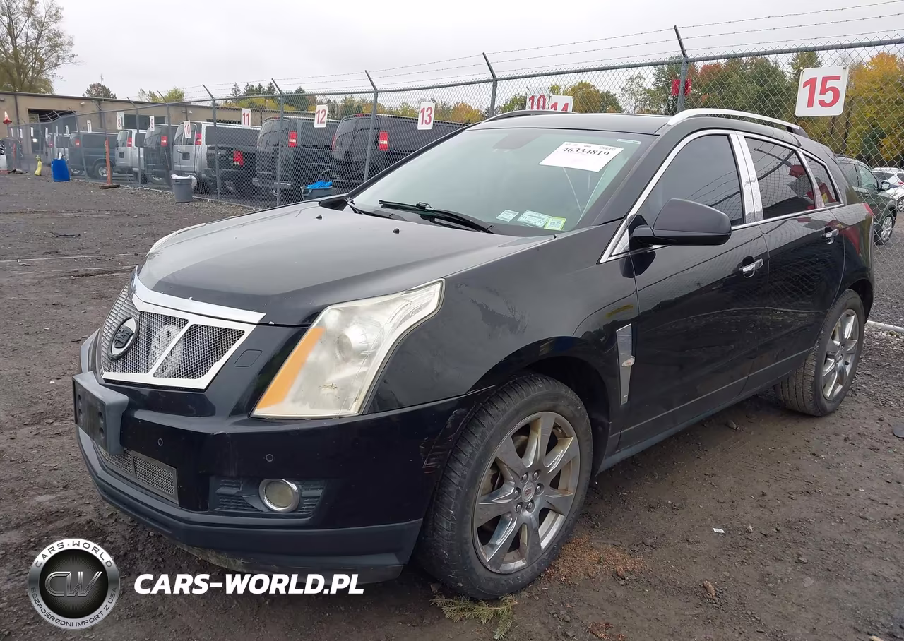 2010 Cadillac Srx Premium Collection VIN:3GYFNFEY1AS583924 - 2