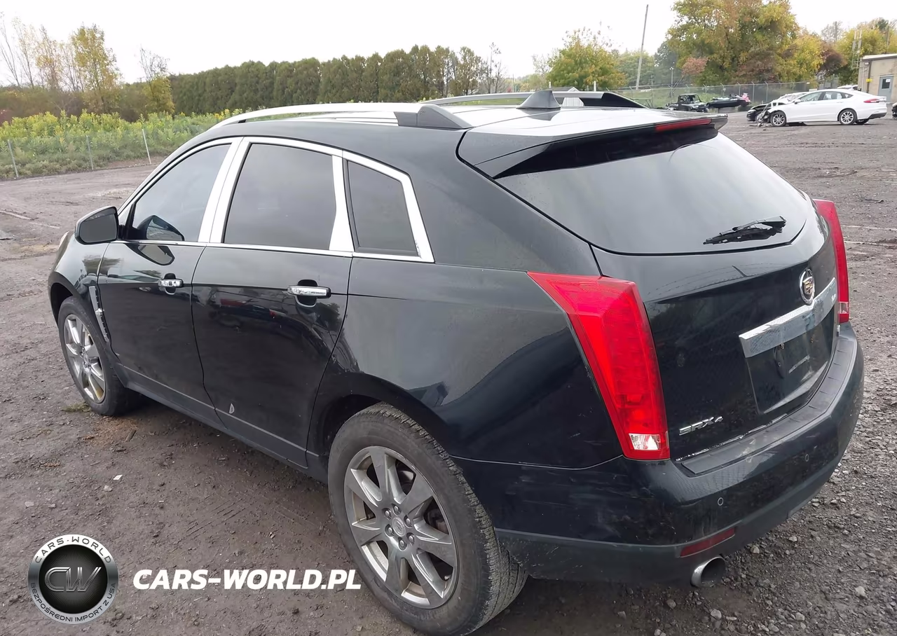 2010 Cadillac Srx Premium Collection VIN:3GYFNFEY1AS583924 - 3