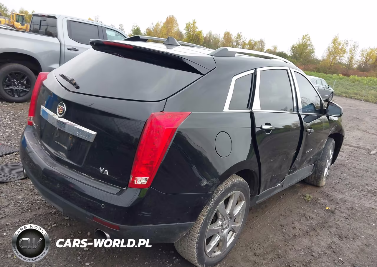 2010 Cadillac Srx Premium Collection VIN:3GYFNFEY1AS583924 - 4