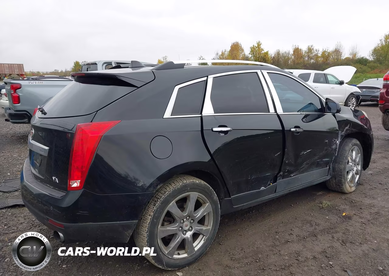 2010 Cadillac Srx Premium Collection VIN:3GYFNFEY1AS583924 - 6