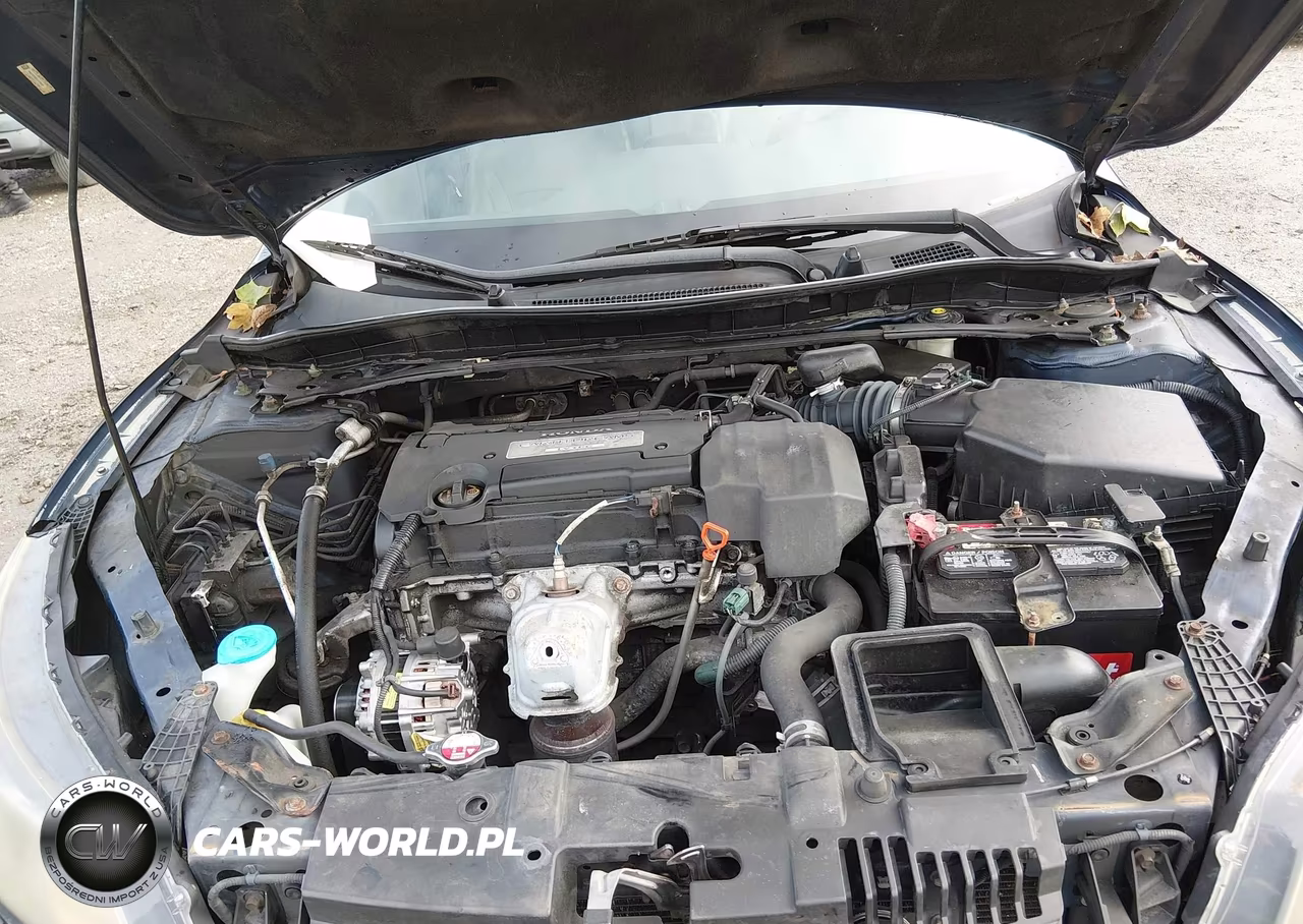 2013 Honda Accord Ex-L VIN:1HGCR2F81DA117695 - 10