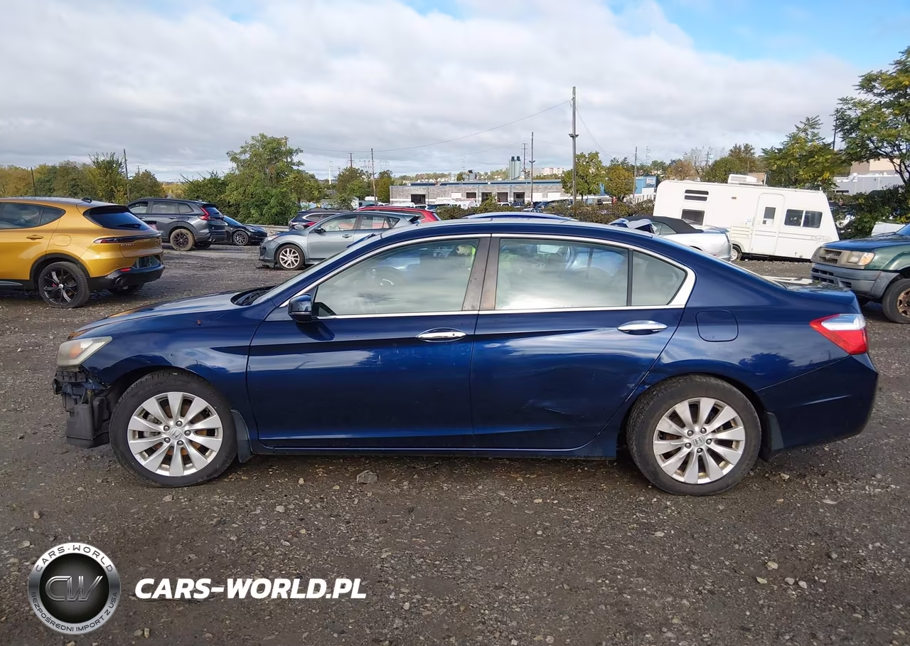 2013 Honda Accord Ex-L VIN:1HGCR2F81DA117695 - 15