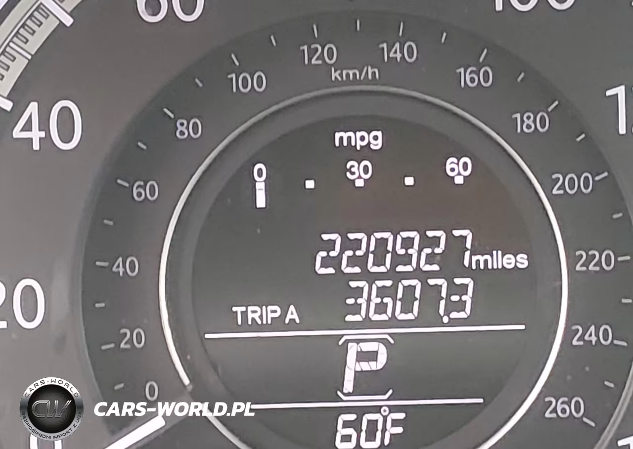 2013 Honda Accord Ex-L VIN:1HGCR2F81DA117695 - 16