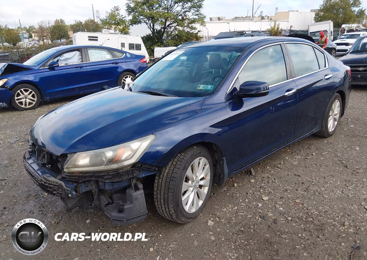 2013 Honda Accord Ex-L VIN:1HGCR2F81DA117695 - 2