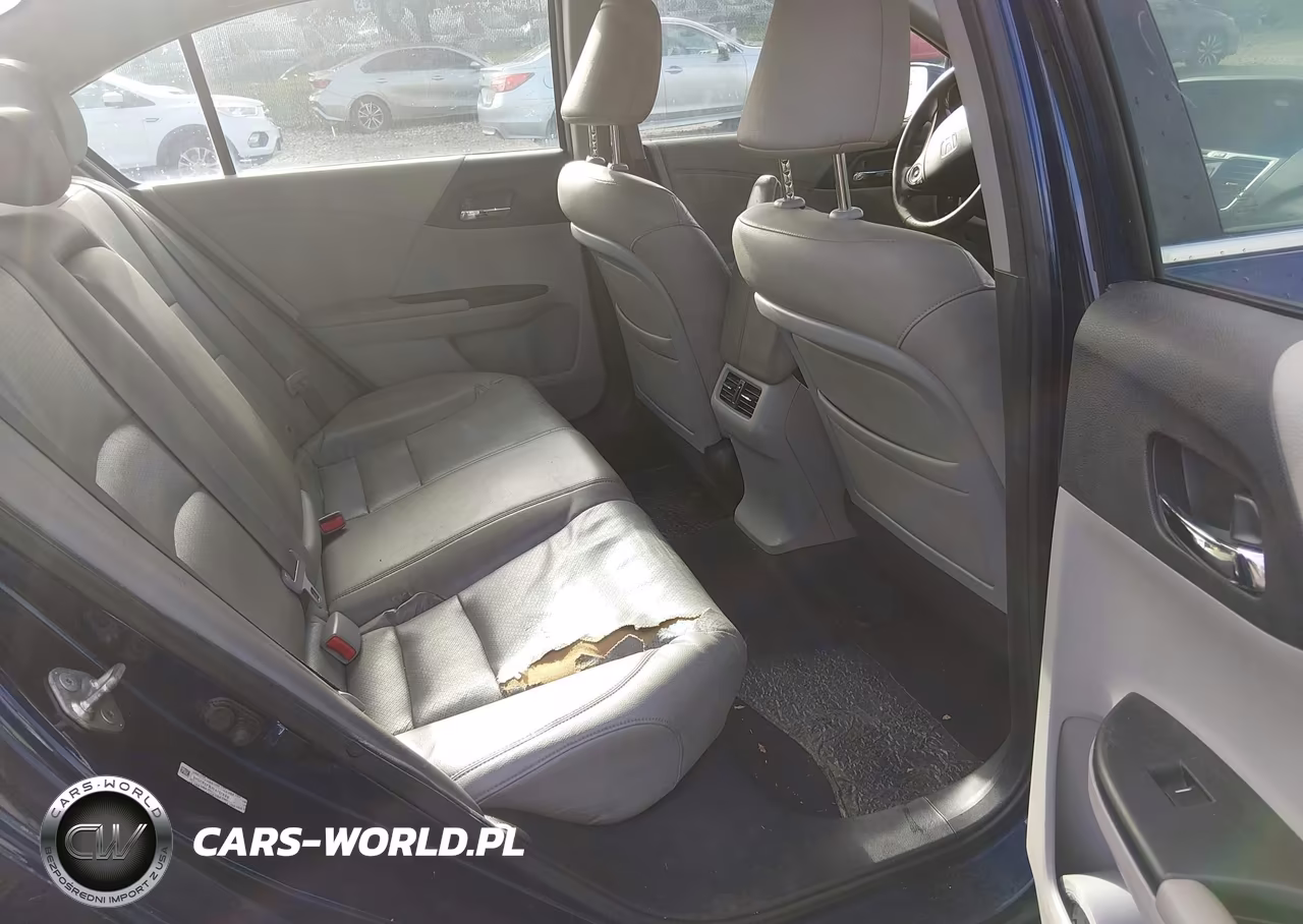 2013 Honda Accord Ex-L VIN:1HGCR2F81DA117695 - 8