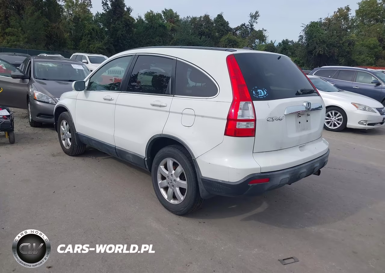 2007 Honda Cr-V Ex-L VIN:JHLRE38787C046165 - 3