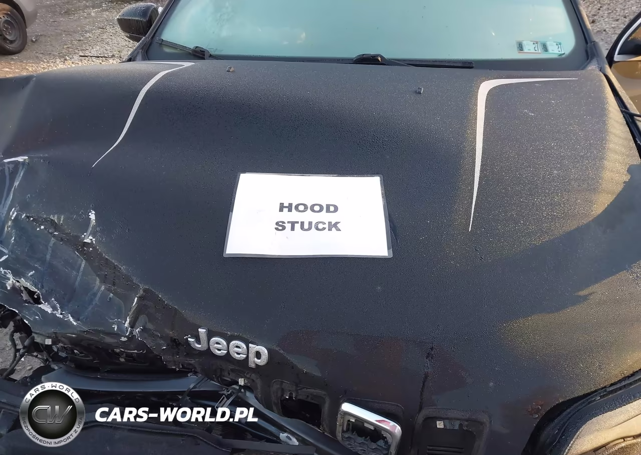 2021 Jeep Cherokee Limited 4X4 VIN:1C4PJMDX7MD121729 - 10
