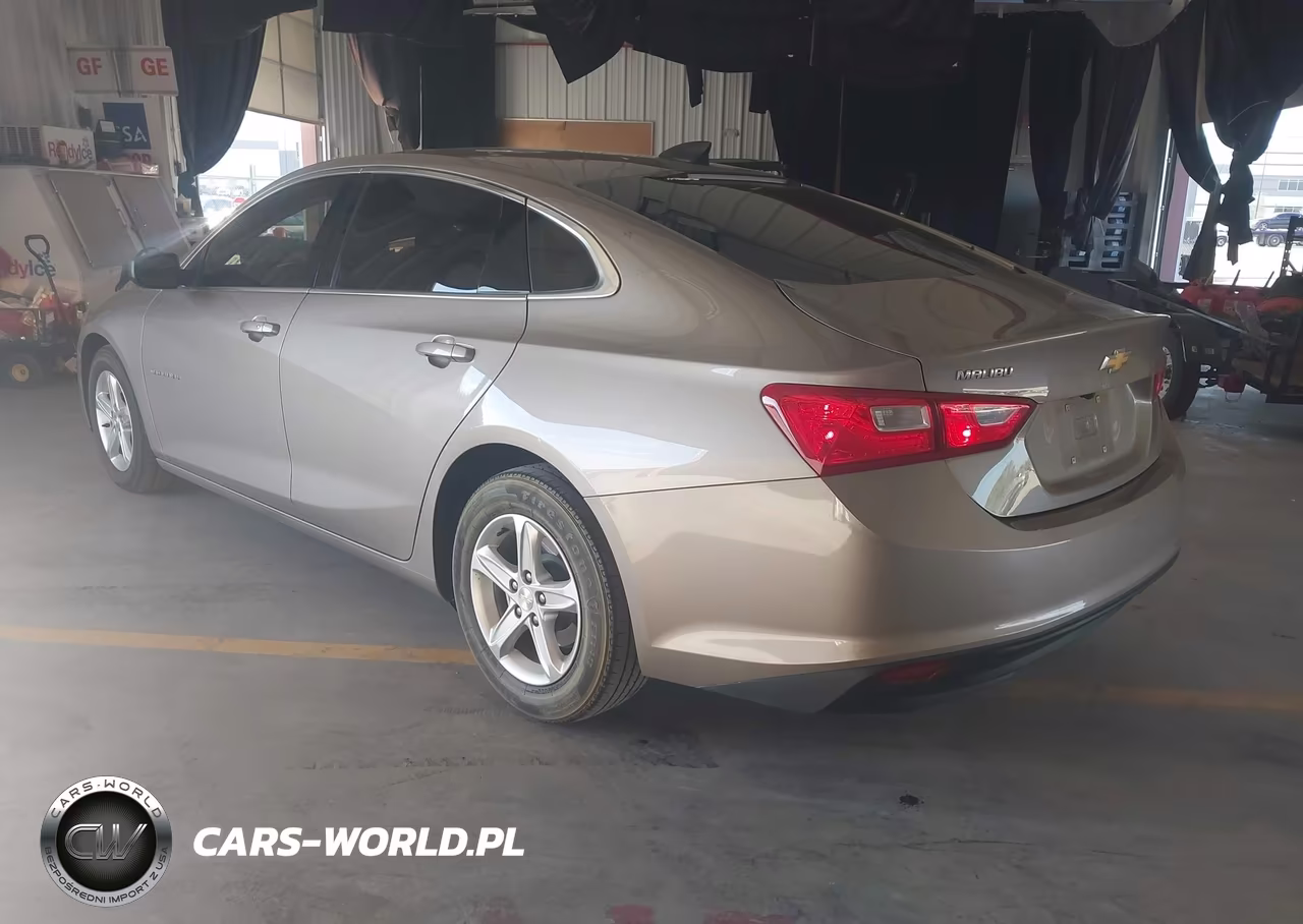 2023 Chevrolet Malibu Fwd 1Fl VIN:1G1ZC5ST1PF120425 - 3