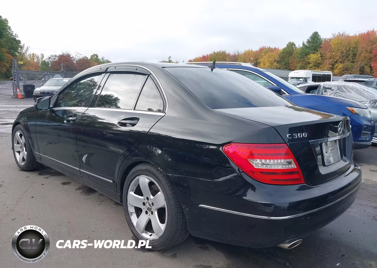 2013 Mercedes-Benz C 300 Luxury 4Matic VIN:WDDGF8AB0DG148826 - 3