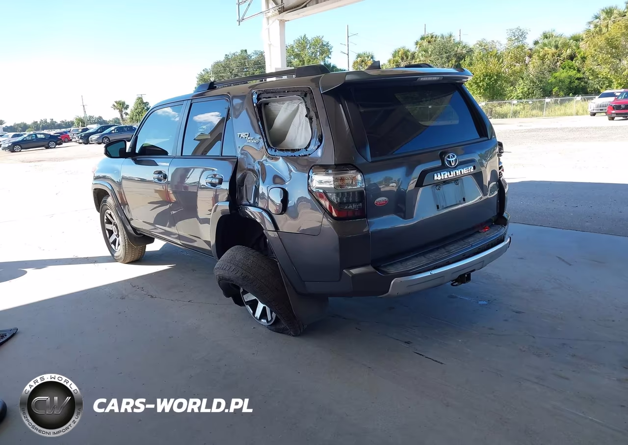 2019 Toyota 4Runner Trd Off Road Premium VIN:JTEBU5JR4K5714478 - 3