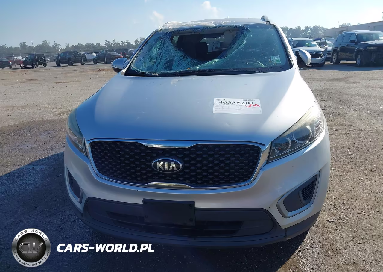 2017 Kia Sorento 2.4L Lx VIN:5XYPG4A36HG234546 - 12