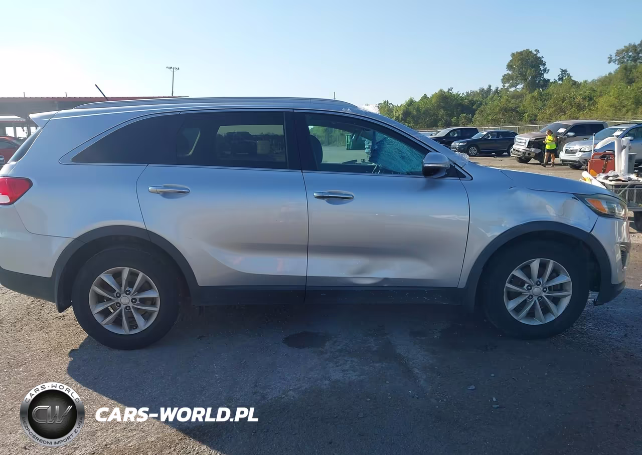 2017 Kia Sorento 2.4L Lx VIN:5XYPG4A36HG234546 - 13