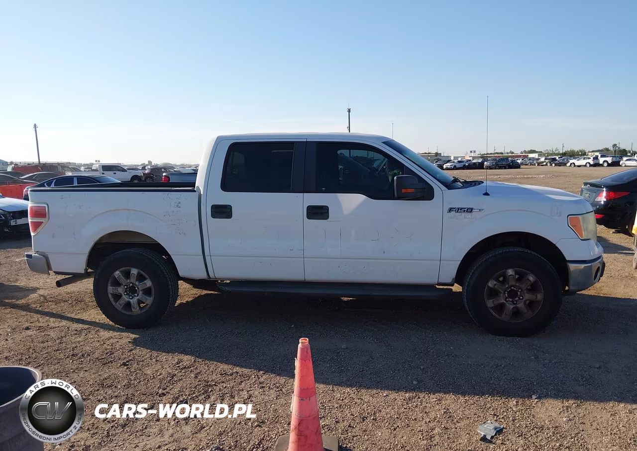 2014 Ford F-150 Xlt VIN:1FTFW1EF5EFA19417 - 13