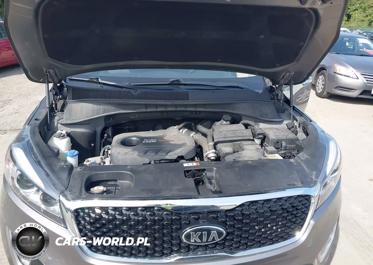 2017 Kia Sorento 2.0T Ex VIN:5XYPHDA18HG243342 - 10