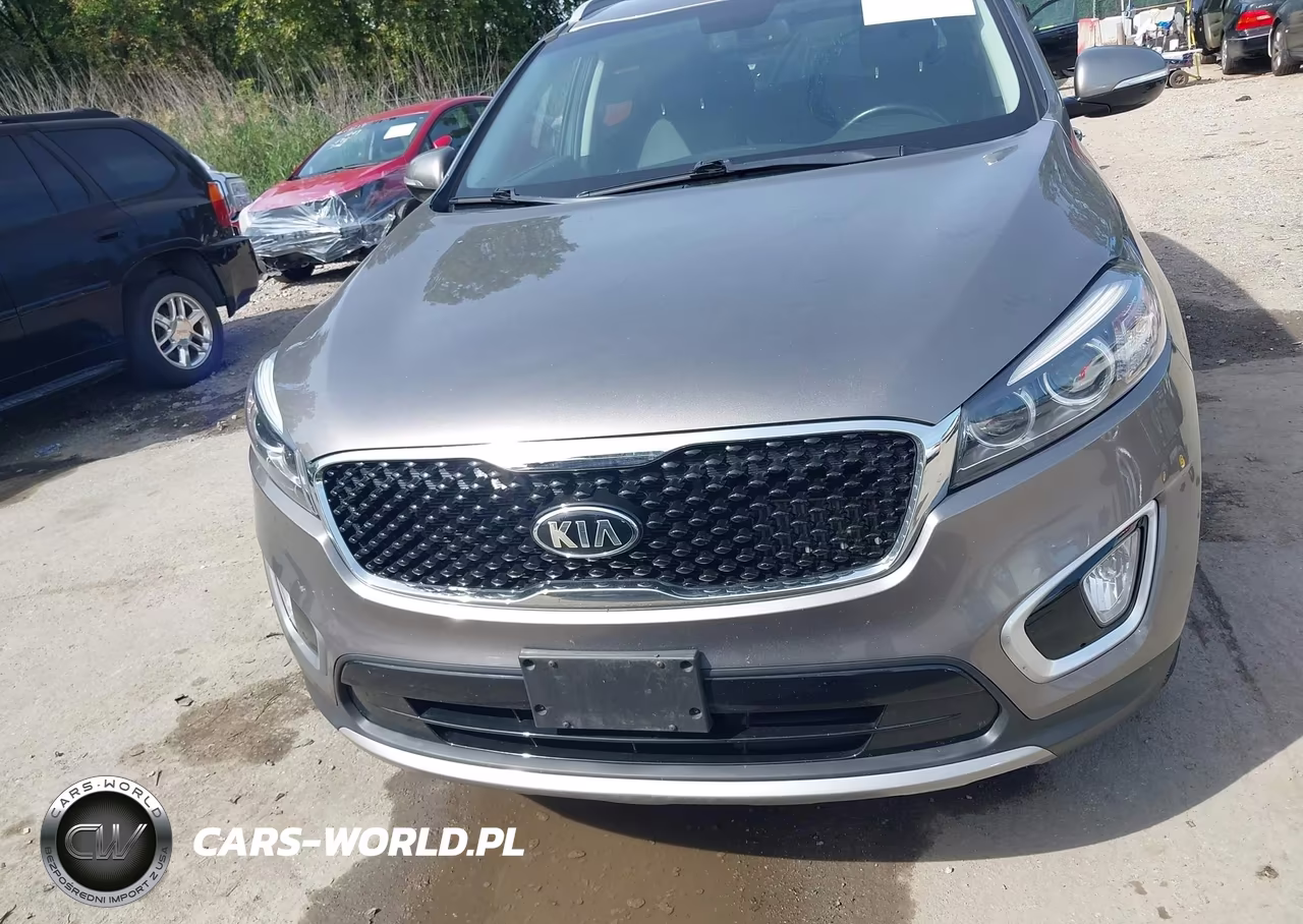 2017 Kia Sorento 2.0T Ex VIN:5XYPHDA18HG243342 - 12