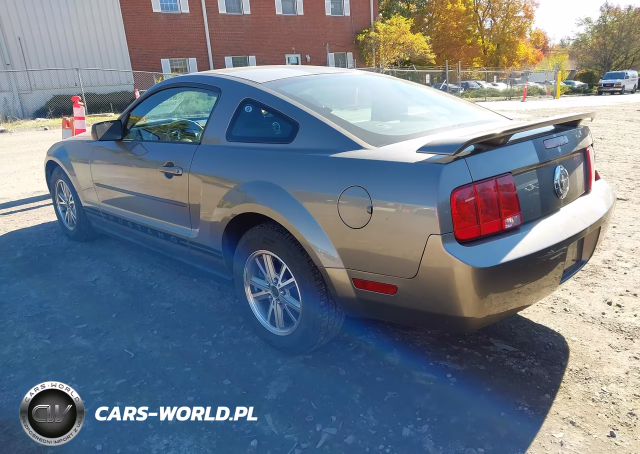 2005 Ford Mustang V6 Deluxe-V6 Premium VIN:1ZVFT80N155235025 - 3