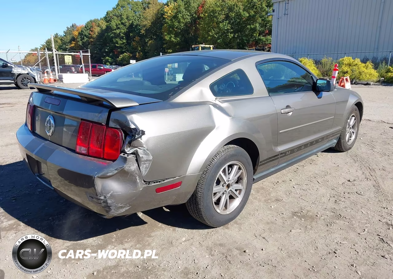 2005 Ford Mustang V6 Deluxe-V6 Premium VIN:1ZVFT80N155235025 - 4