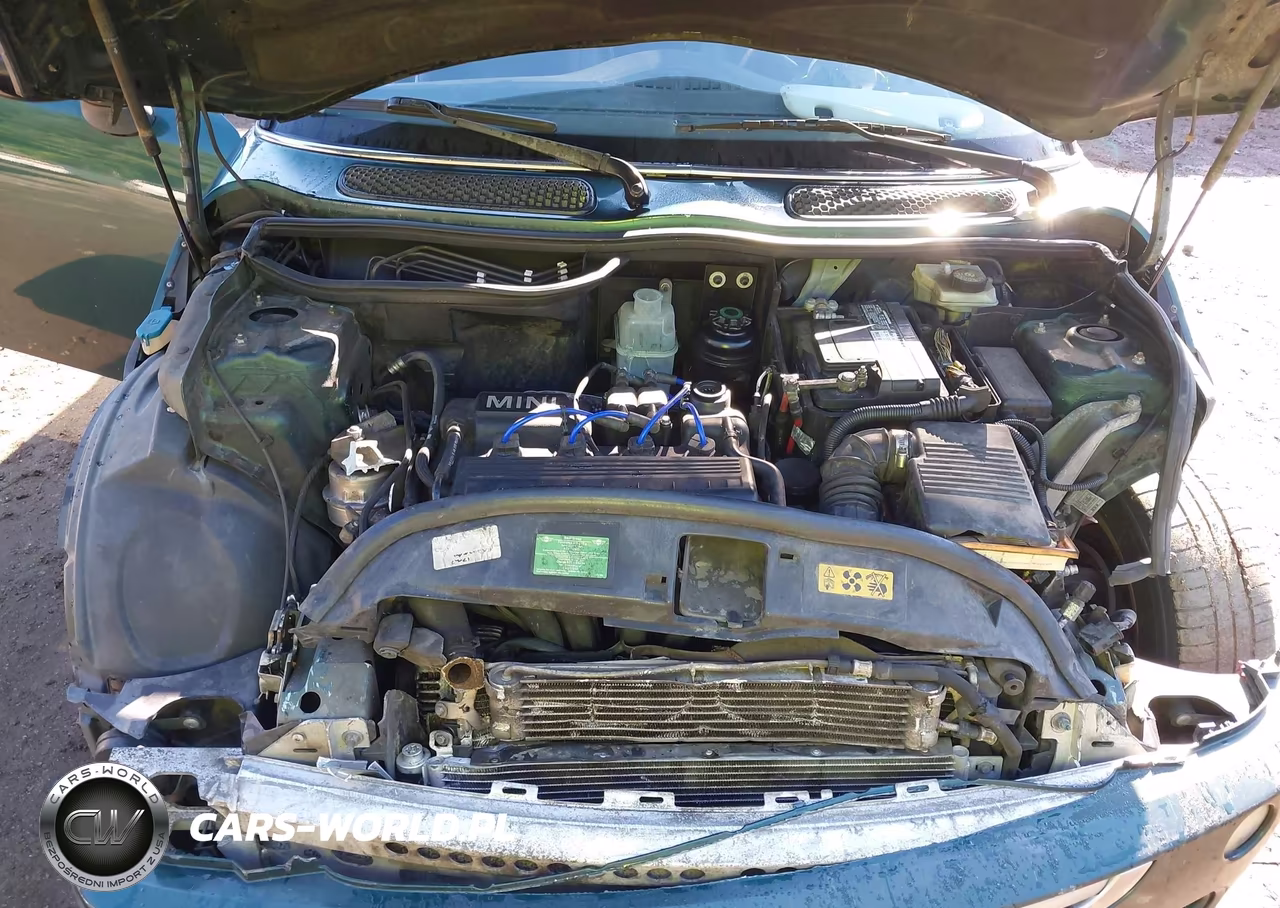 2006 Mini Cooper VIN:WMWRC33596TK19003 - 10