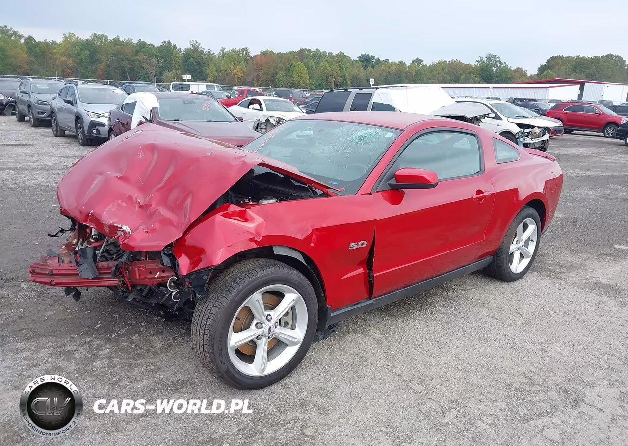 2012 Ford Mustang Gt Premium VIN:1ZVBP8CF7C5277803 - 2