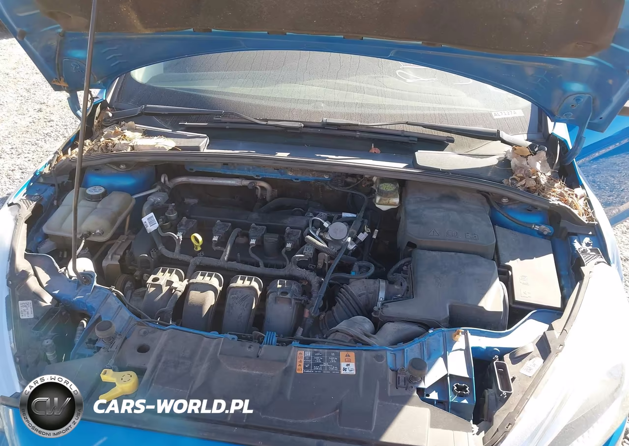 2017 Ford Focus Se VIN:1FADP3K20HL245068 - 10