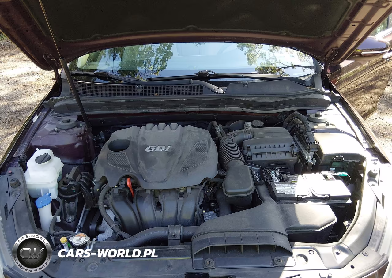 2015 Kia Optima Lx VIN:5XXGM4A74FG477446 - 10