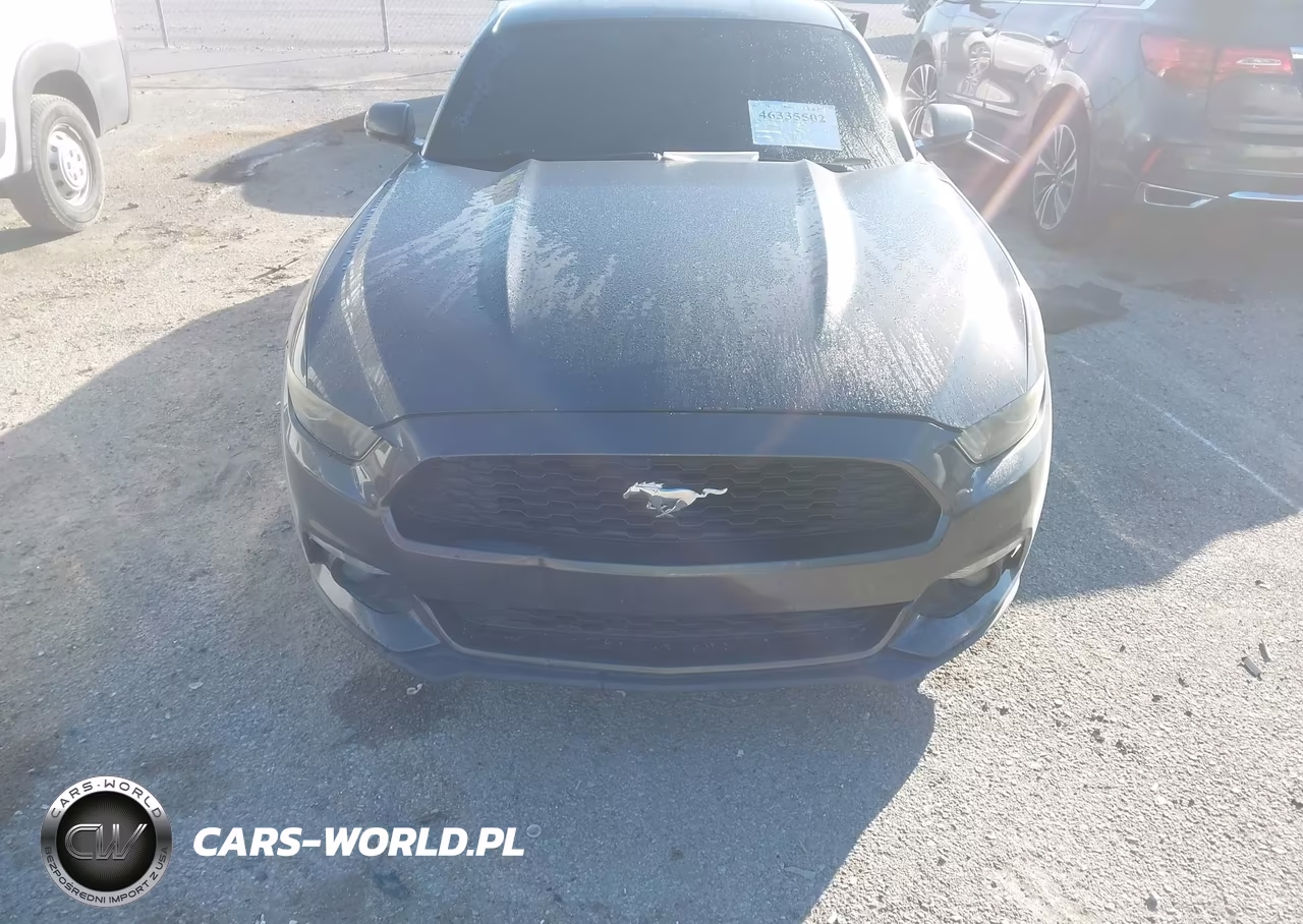 2015 Ford Mustang Ecoboost VIN:1FA6P8THXF5316688 - 12