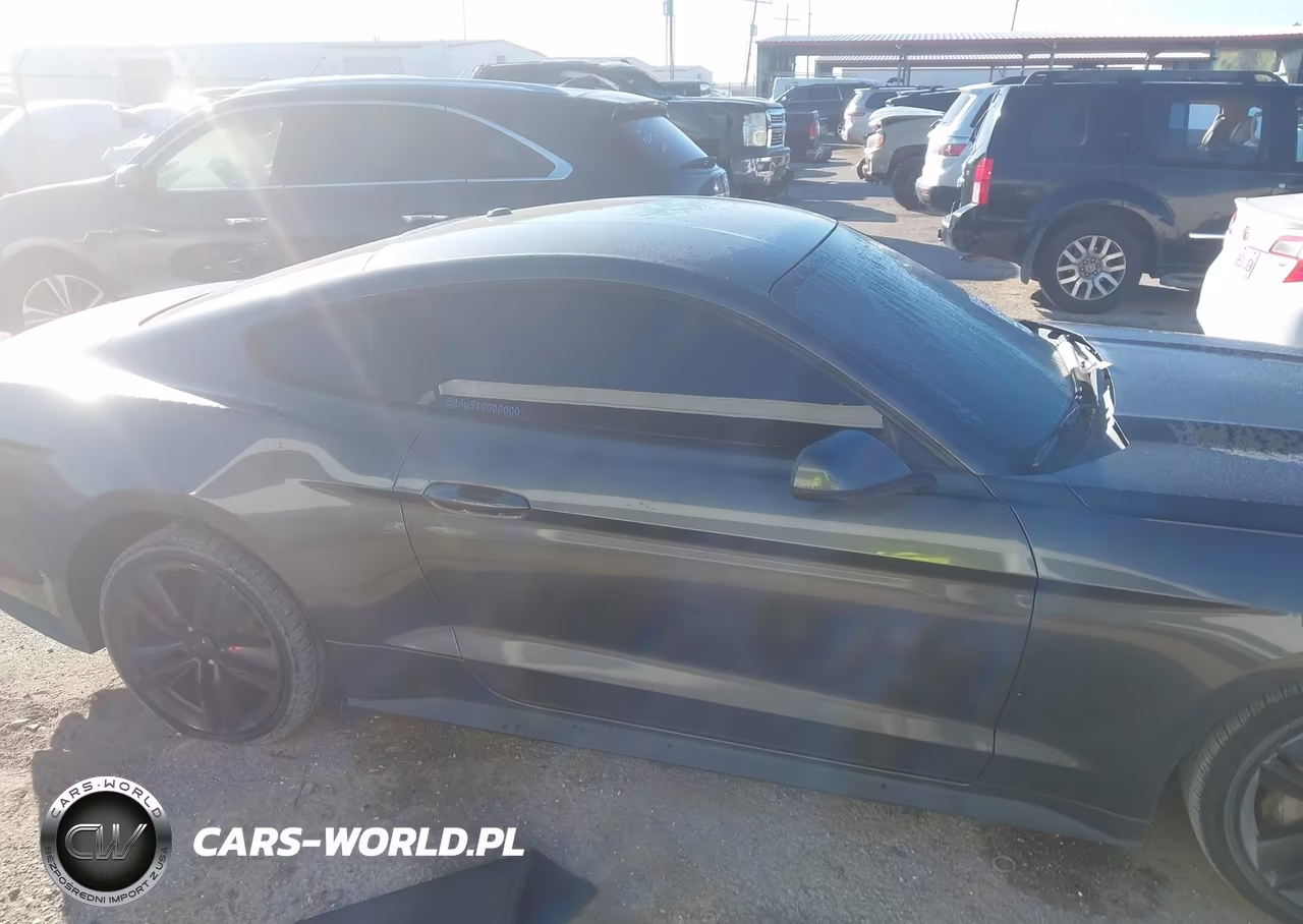 2015 Ford Mustang Ecoboost VIN:1FA6P8THXF5316688 - 13