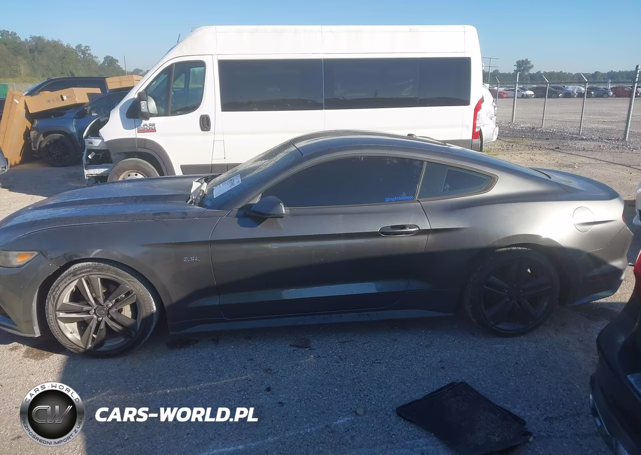 2015 Ford Mustang Ecoboost VIN:1FA6P8THXF5316688 - 14