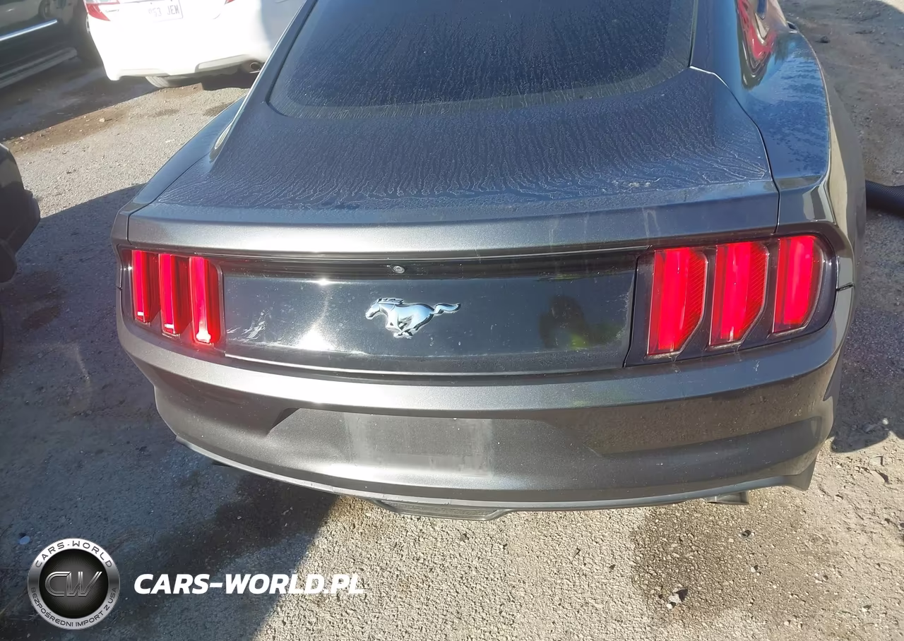 2015 Ford Mustang Ecoboost VIN:1FA6P8THXF5316688 - 16
